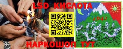 гидра Заволжье