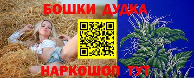гидра Заволжье