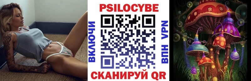 Псилоцибиновые грибы GOLDEN TEACHER где найти Волхов