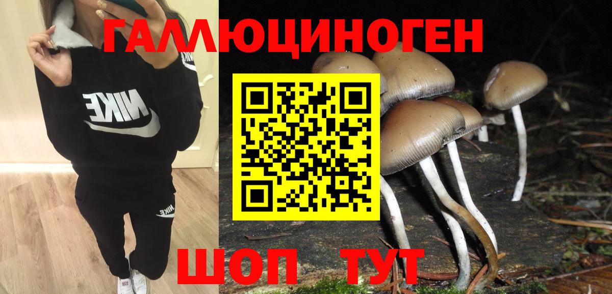 Псилоцибиновые грибы ЛСД  Вход с VPN  Псилоцибиновые грибы Psilocybe  Волхов 