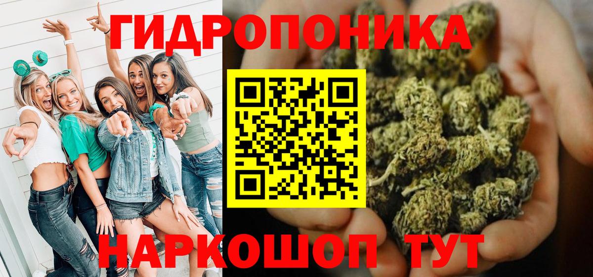 Марихуана план Волхов